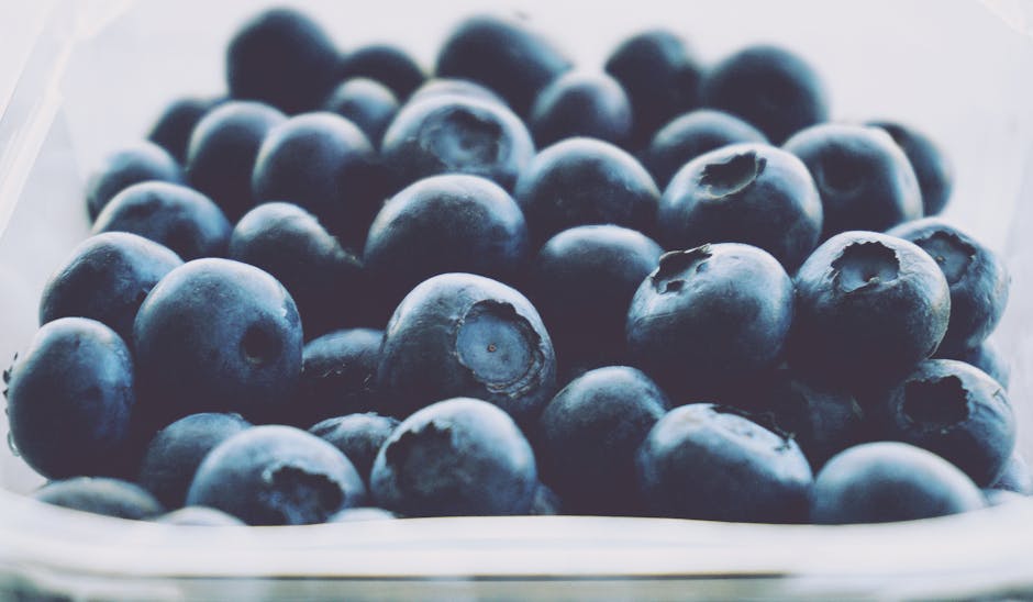 Anthocyanin-Rich Foods: Blueberries, Purple Fruits and the USDA FDC Data (2026)