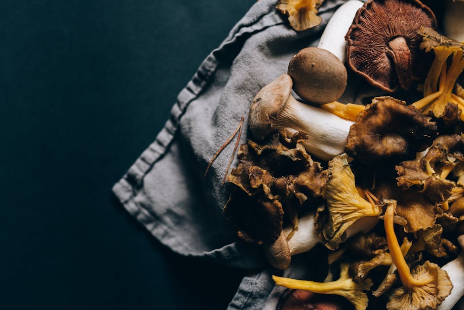 Ergothioneine-Rich Foods: Mushrooms, the OCTN1 Transporter, and USDA FDC Data 2026