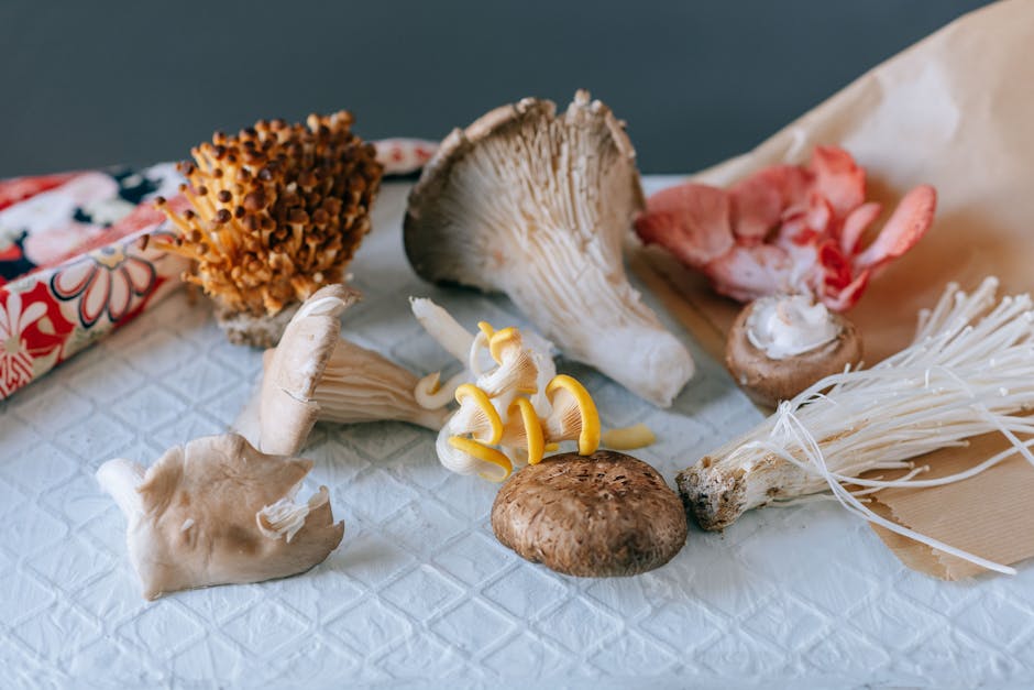 Fresh oyster mushrooms growing in a cluster, one of the highest ergothioneine sources by weight