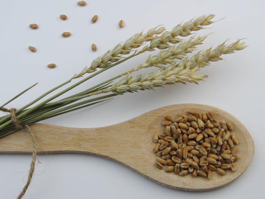 Spermidine-Rich Foods: Wheat Germ, Aged Cheese, Autophagy — USDA FDC Data 2026