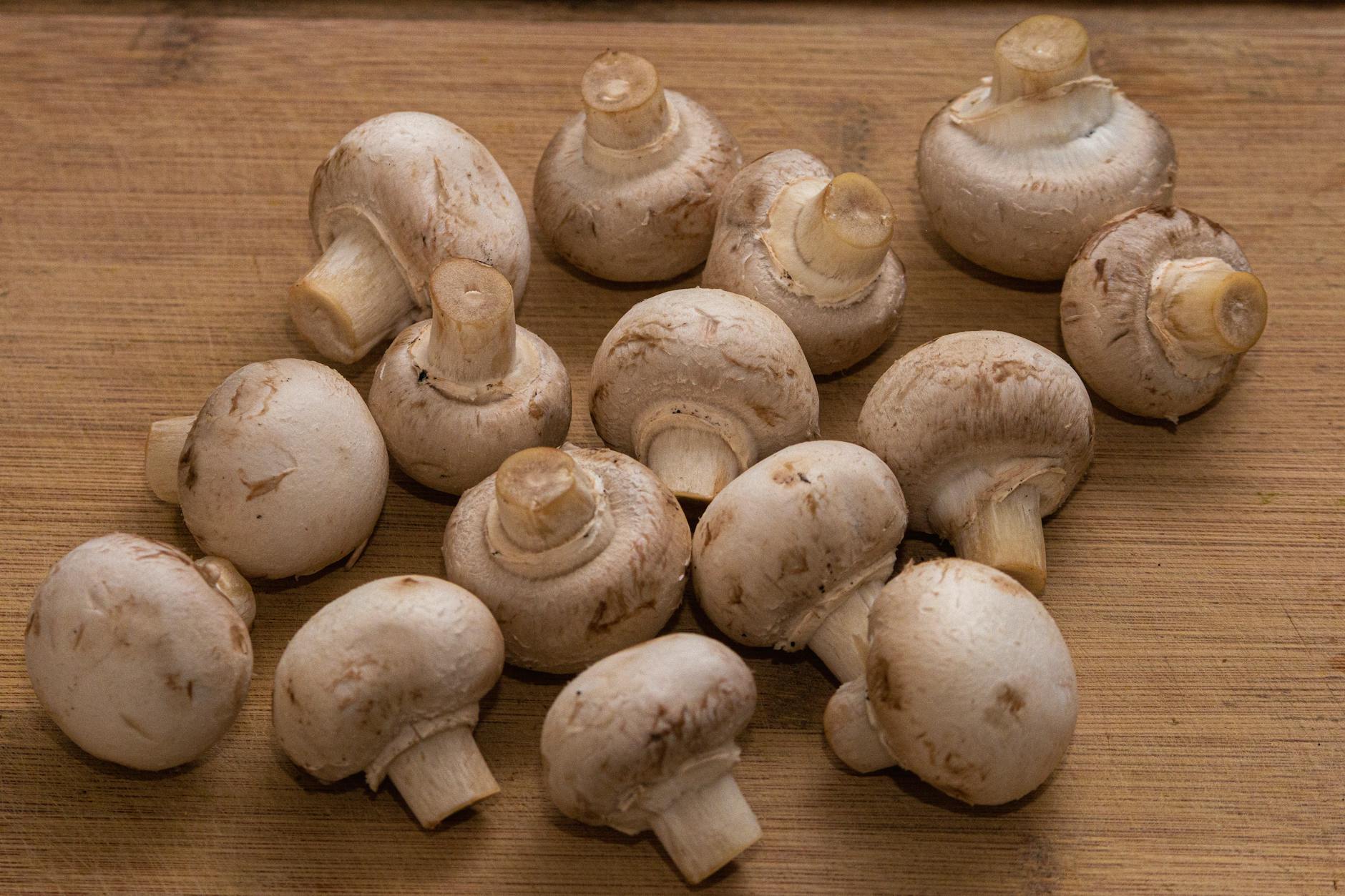 UV-exposed mushrooms close-up — a notable plant vitamin D source per USDA FDC