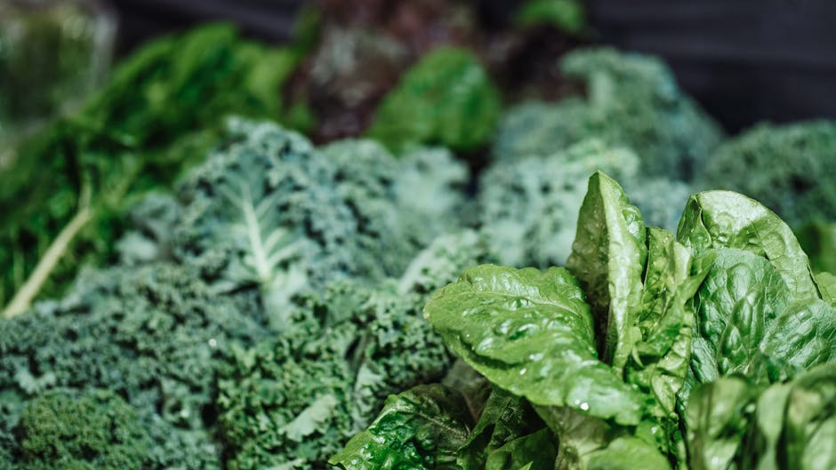 Vitamin K1 vs K2: Why USDA FDC Data Reveals a Major Gap in Food Tracking (2026)